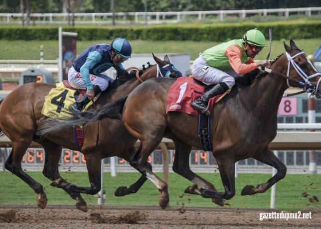 8 Chevaux Turf Magique