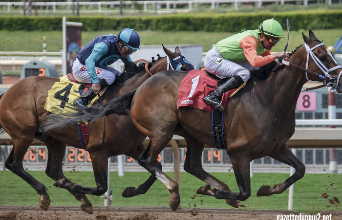 8 Chevaux Turf Magique