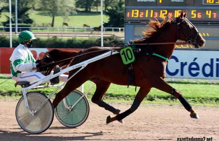 3 Chevaux Gagnant