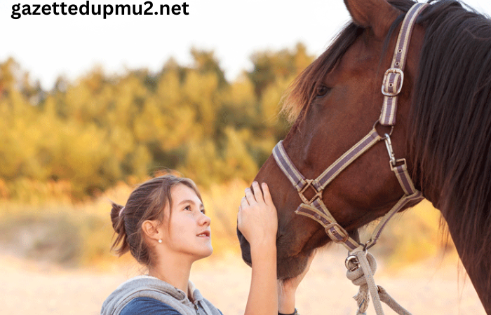 Horse Whisperers: Understanding and Communicating with Equines