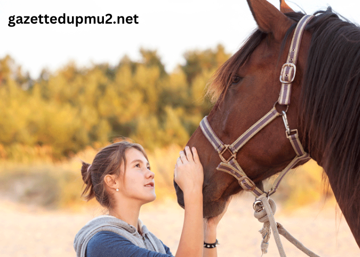 Horse Whisperers: Understanding and Communicating with Equines