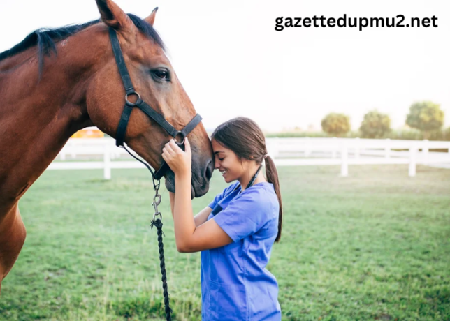 Horses