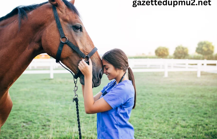 The Majestic World of Horses: Understanding Their Role in History and Modern Society