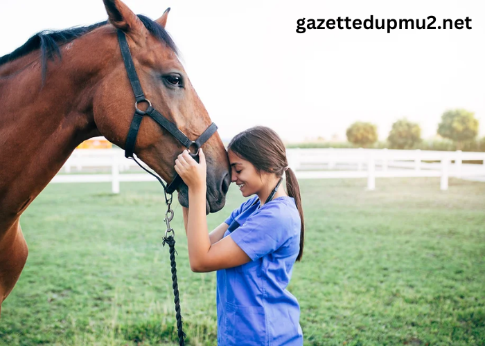 The Majestic World of Horses: Understanding Their Role in History and Modern Society