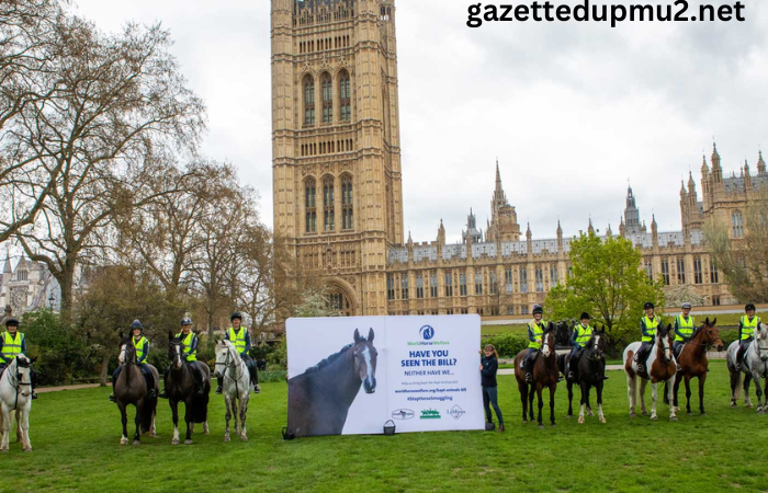 The Majesty of Horses: A Journey Through Equine History and Culture