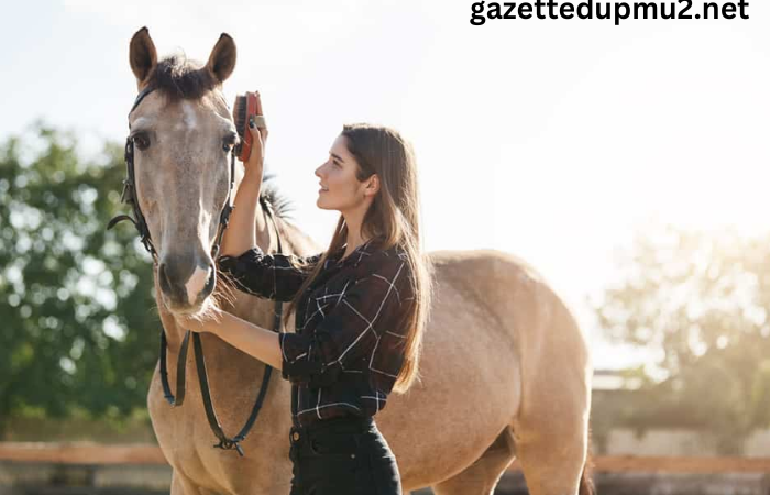 Horse Care 101: Essential Tips for Maintaining a Healthy and Happy Equine Companion