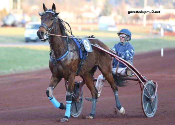100100 Ordre Turf