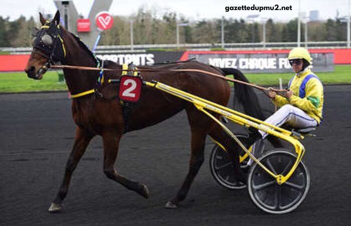 Les Craks Du Turf