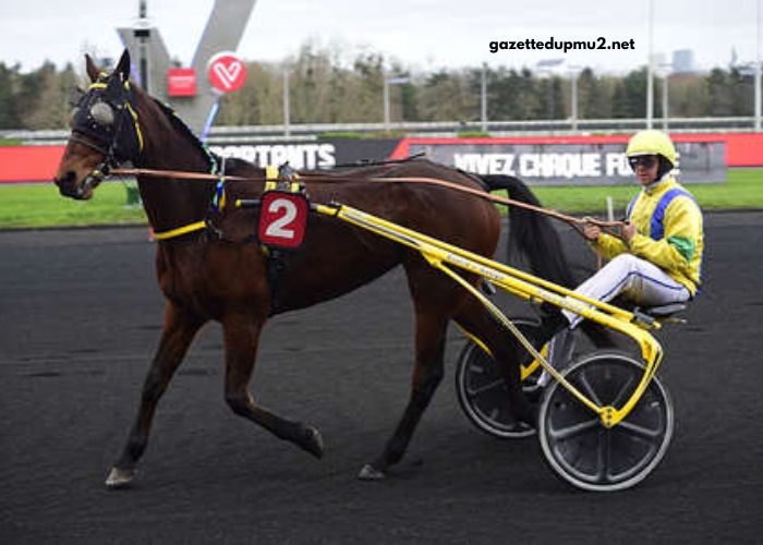 Les Craks Du Turf