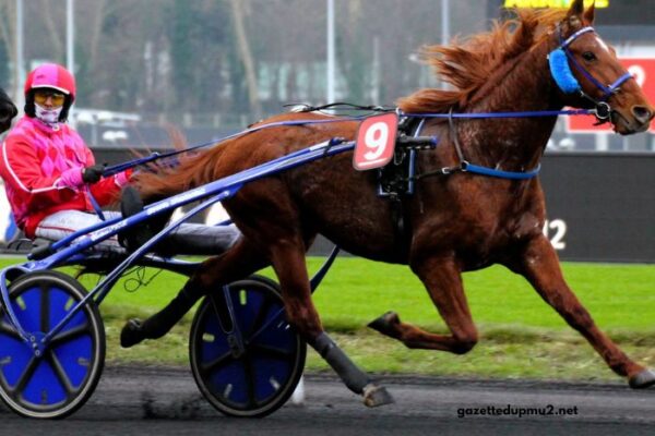 Nanouturf 100 100 Gagnant
