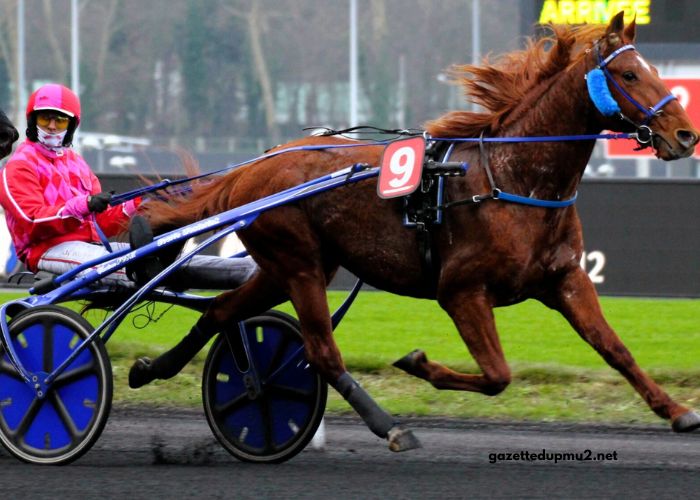 Nanouturf 100 100 Gagnant