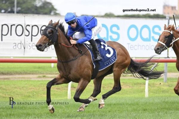 Paris Promise Turf