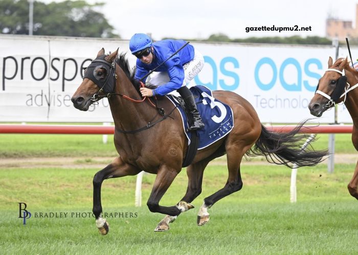Paris Promise Turf