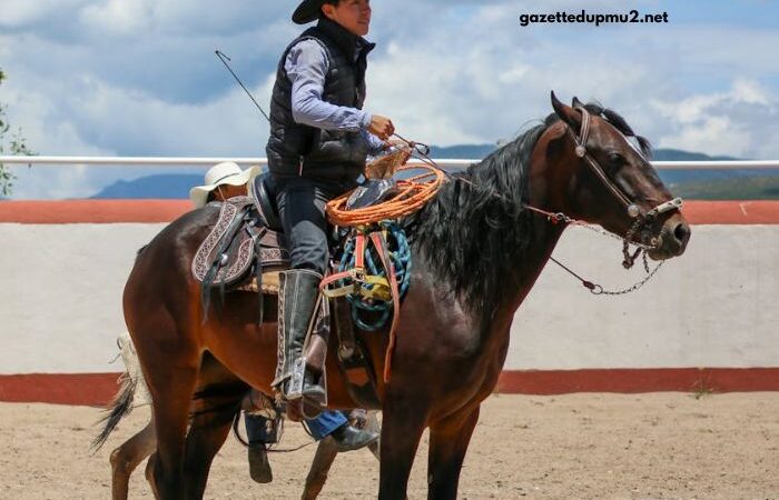 Prono Choc Turf