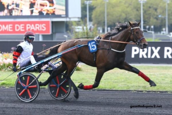 Trio 3 Chevaux