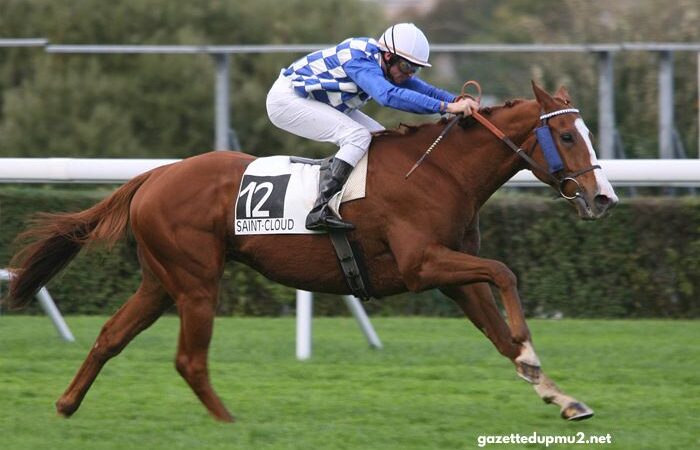 Turf Jeu Simple