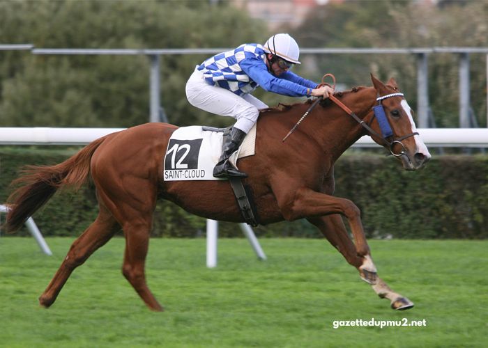 Turf Jeu Simple