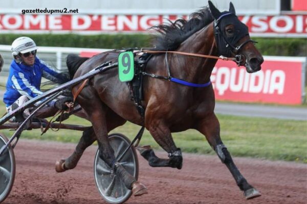 Geni Du Turf Vip