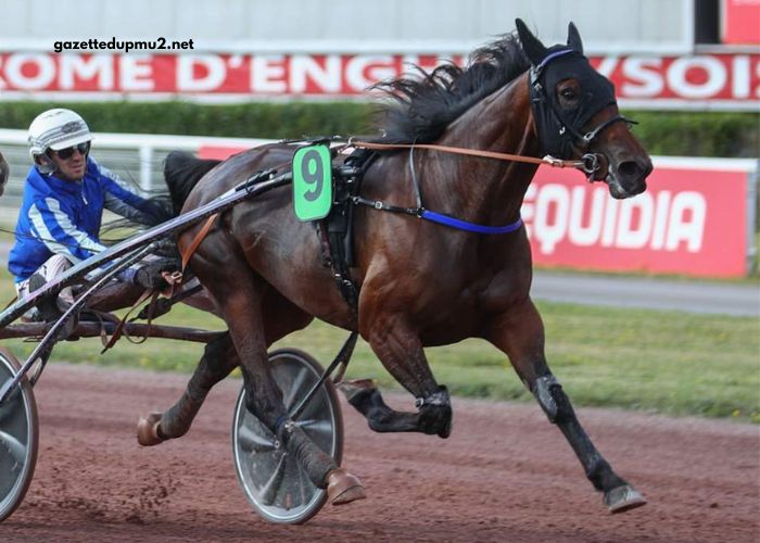 Geni Du Turf Vip