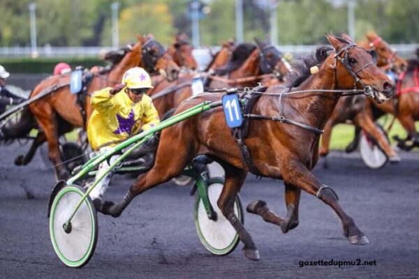 Good Hippique Turf