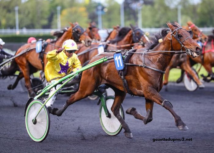 Good Hippique Turf