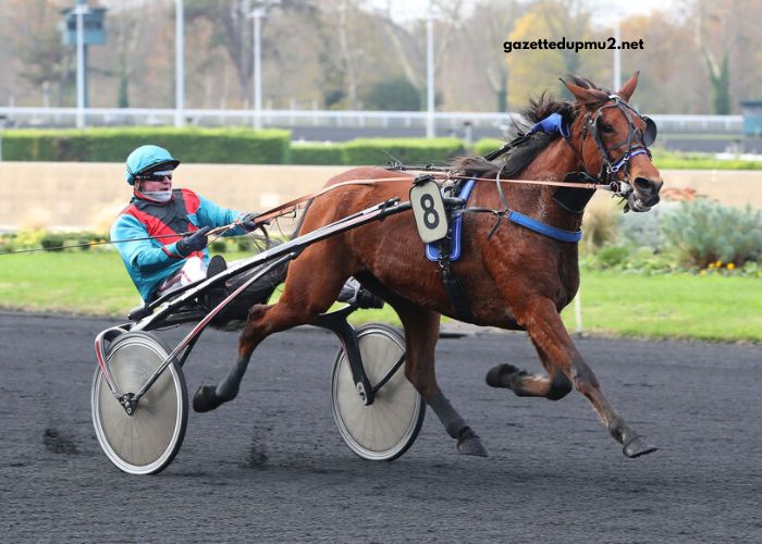 LA Filière Pmu