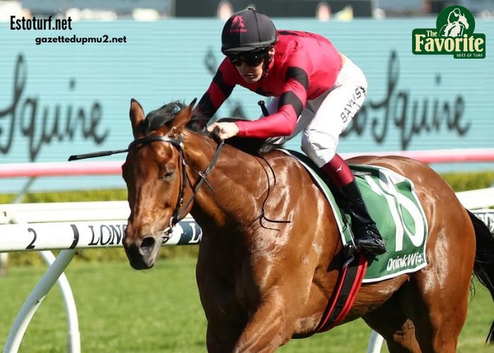 Societe Turf Trio