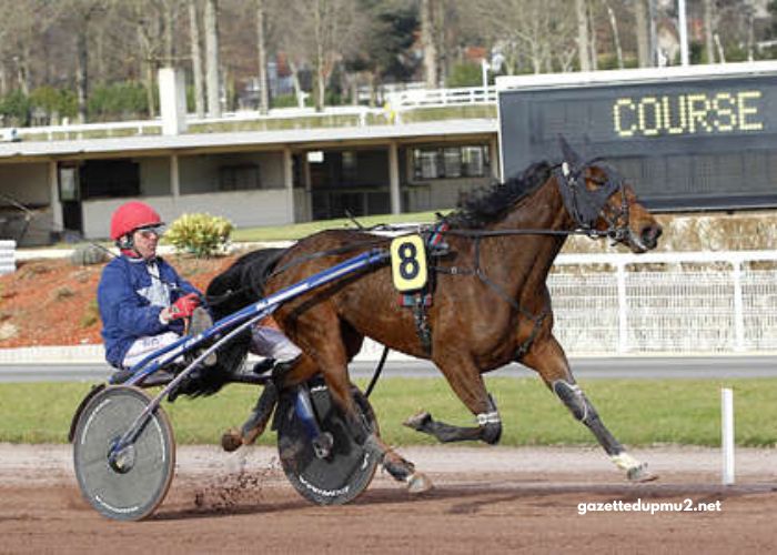 Somboturf Gagnant 1